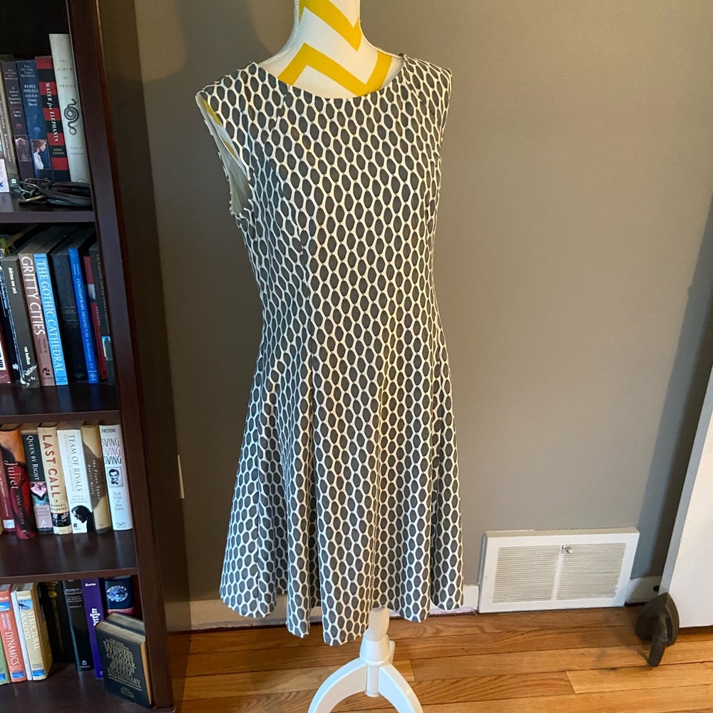Gray & White Dress